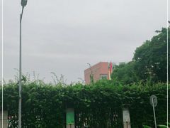 -广州市越秀区育才实验学校