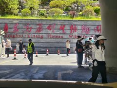 -青藏高原野生动物园