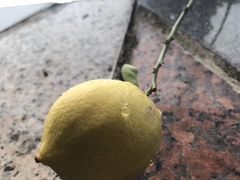 -晓港公园