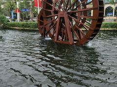 -秋莲妈妈(千岛湖鱼街店)