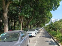 -深圳龙潭公园