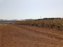 -大连北马山庄
