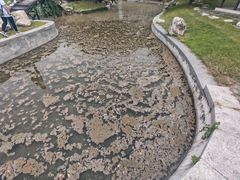 -北京世界公园