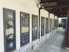 -枫桥景区