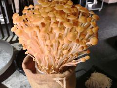 -麻路成都火锅(柏威年店)