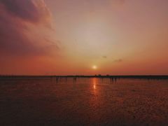 -南汇嘴观海公园