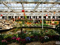 大厅-龙凤山庄(永定镇店)