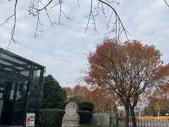 -潮府馆·非遗潮州菜·世纪公园(新国际博览中心店)