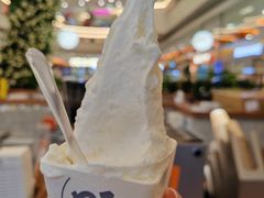 -野人先生Gelato(上海长宁龙之梦店)