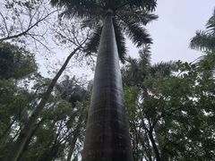 -南宁南湖公园