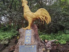 -海口火山口国家地质公园