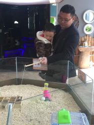 -未来动物城主题公园(正弘城店)