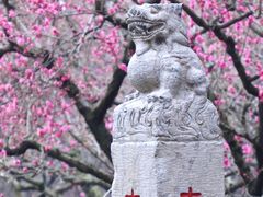 -梅花山(明孝陵内)