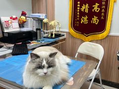 -瑞鹏宠物医院·内科·中兽医·骨科(苗圃店)