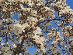 -国家图书馆·古籍馆