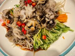 捞汁桃花蛸-添福来墨鱼饺子 · 海鲜东北菜(大连星海·黄浦路店)