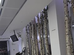 -极简口腔(总院)