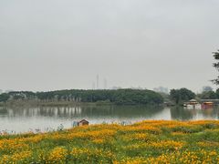 -海珠湖公园