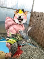 -萌宠亲子动物乐园(槐房万达店)