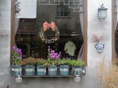 -小草屋轰趴馆别墅派对新场团建家庭聚会