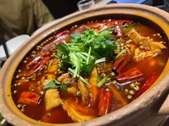 -新渝城·川菜·火锅(区庄店)