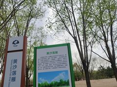 -东郊湿地公园
