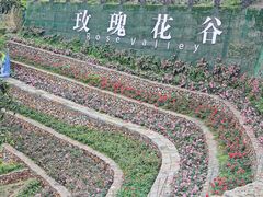 -厦门园林博览苑