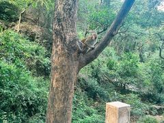 -黔灵山公园