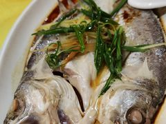 滑蛋蒸海鲈鱼-合力居·生记路边鸡(北京路店)