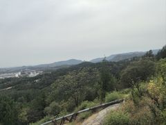 -白水寺森林公园