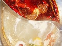 -辣伍鲜毛肚老火锅(元一店)