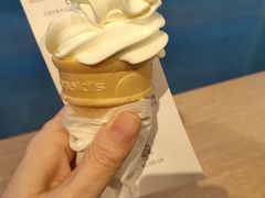 原味圆筒冰淇淋-麦当劳(花园北路店)