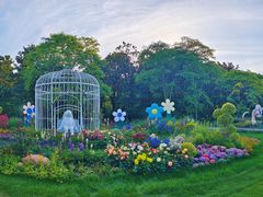 -上海共青森林公园