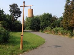 iphone_upload_pic-梁鸿国家湿地公园