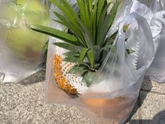 -红星农博物流中心