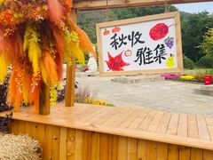 -北京十三陵国家森林公园蟒山景区