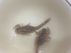 -国英炖品店(甲子路店)