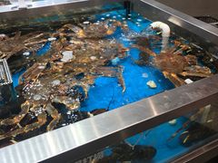 水产区-盒马鲜生(189购物中心店)