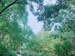 景点-滨河世纪广场公园