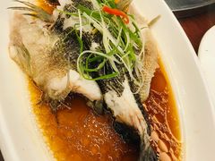 笋壳鱼-小龙酒家(桂平路店)