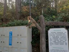 -千岛湖东南湖区