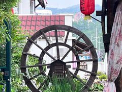 -慢丽江·云南野生菌土鸡锅(付家庄店)