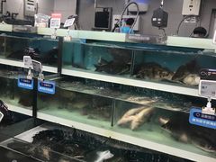-盒马鲜生(大成店)