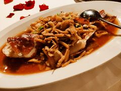 泡椒蒸深海红东星斑-皇朝会.经典传统粤菜(外滩店)