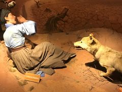 -陕西自然博物馆