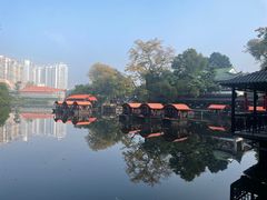 -侨美·唐荔园·40年地道粤菜