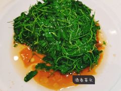 -光明邨大酒家(淮海路店)
