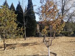 -元大都城垣遗址公园