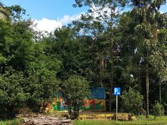 -南宁良凤江国家森林公园