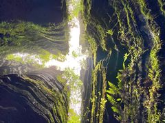 -梭布垭石林景区